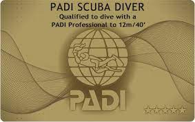 スクーバ・ダイバー・コース  ( PADI Scuba Diver Course )