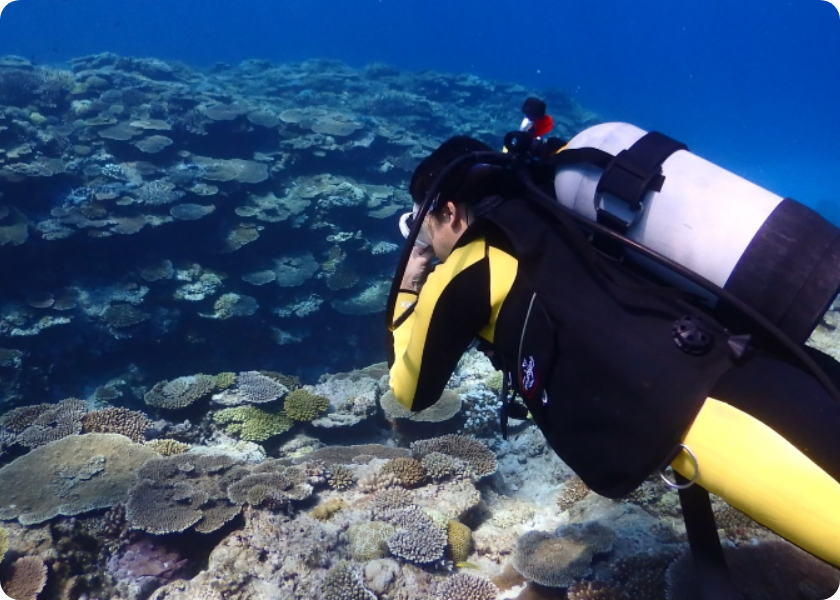 PADI 水肺潛水認證（Scuba Diving）