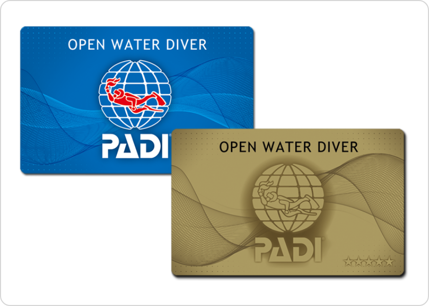 PADI 開放水域潛水員（Open Water Diver）